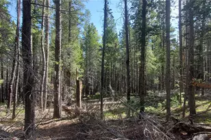 Lot 3031 Bolwell Ln, Fort Garland, CO 81133 - Photo 1