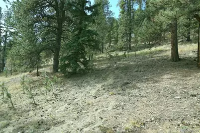 188 Brown Street, Bailey, CO 80421 - Photo 1