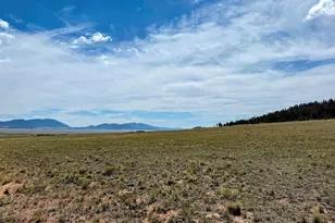 1876 Park Rd, Hartsel, CO 80449 - Photo 1