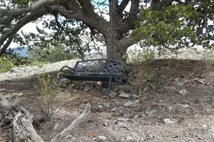 66 Grand Teton Dr, Hartsel, CO 80449 - Photo 1