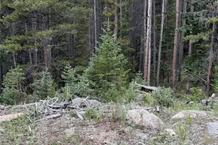 0179 Mine Rd, Idaho Springs, CO 80452 - Photo 1