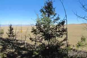 313 Aspen Ln, Hartsel, CO 80449 - Photo 1