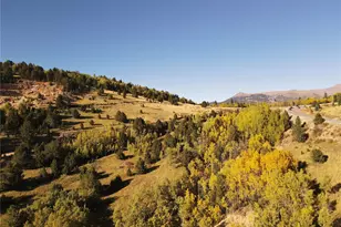 Tbd, Cripple Creek, CO 80813 - Photo 1