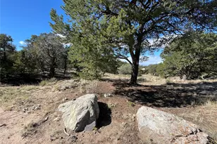 3547 Fallen Tree Pl, Crestone, CO 81131 - Photo 1