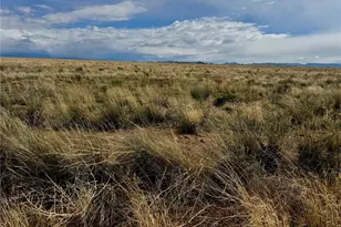 Lot 17 Dowd Rd, Blanca, CO 81133 - Photo 1