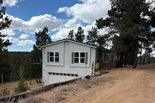 3647 Pathfinder Rd, Florissant, CO 80816 - Photo 1