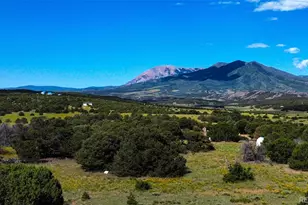 363 Black Hls Rd, Walsenburg, CO 81089 - Photo 1