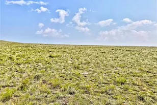 000 Utse Trail, Hartsel, CO 80449 - Photo 1