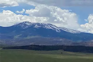 Bare Trail, Hartsel, CO 80449 - Photo 1