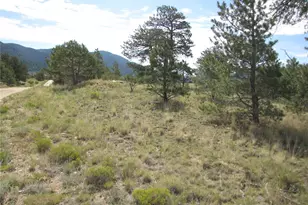 11744 Jackson Rd, Lake George, CO 80449 - Photo 1