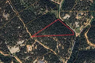 2137 Hidden Valley Blvd, Pine, CO 80470 - Photo 1