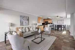 909 N Logan Street, Denver, CO 80203 - Photo 1