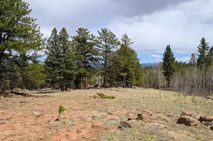 43 Spanish Bit Dr, Lake George, CO 80827 - Photo 1