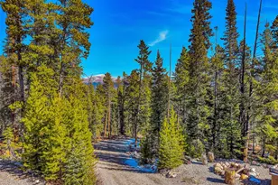 454 Dry Gulch Rd, Fairplay, CO 80440 - Photo 1