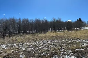 68 Mower Ct, Hartsel, CO 80449 - Photo 1