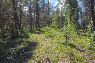 5769 Balleroy Rd, Fort Garland, CO 81133 - Photo 1