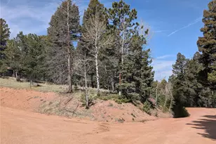 971 Spring Valley Ln, Florissant, CO 80816 - Photo 1