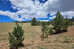 Pcs#25253 Fernando Trail, Hartsel, CO 80449 - Photo 1