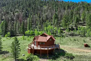 798 Stream Dr, Guffey, CO 80820 - Photo 1