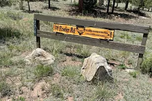 776 Fowler Rd, Westcliffe, CO 81252 - Photo 1