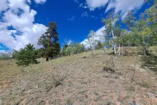 6452 Remington Rd, Como, CO 80432 - Photo 1