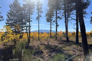 Lot 3 County Road 51, Florissant, CO 80816 - Photo 1