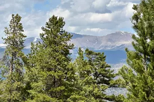 30385 National Forest Dr, Buena Vista, CO 81211 - Photo 1