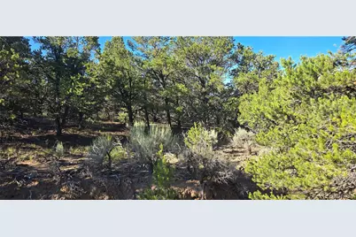 Lot 1362 Dunn Road, Fort Garland, CO 81133 - Photo 1