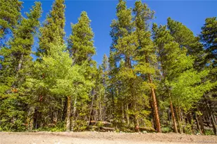 154 George's Way, Alma, CO 80420 - Photo 1