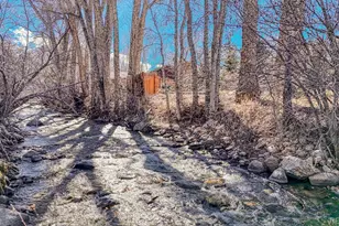 16953 Co Rd 306, Buena Vista, CO 81211 - Photo 1