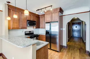 1107 Elizabeth St, Denver, CO 80206 - Photo 1
