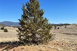 3233 Remington Rd, Como, CO 80432 - Photo 1