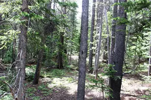 Lot 209 Upper Forest Rd, Idaho Springs, CO 80452 - Photo 1
