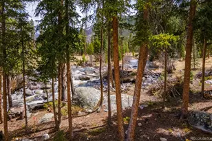 220 Grand County Road 667, Grand Lake, CO 80447 - Photo 1