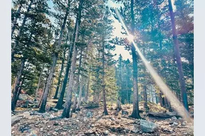 265 Brook Drive, Idaho Springs, CO 80452 - Photo 1