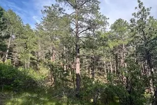 19855 Capella Dr, Monument, CO 80132 - Photo 1