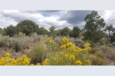 Lot 6969 Trinchera Ranch Road, Fort Garland, CO 81133 - Photo 1