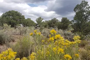 Lot 6969 Trinchera Ranch Rd, Fort Garland, CO 81133 - Photo 1