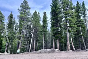 Lot 171 Lower Forest Rd, Idaho Springs, CO 80452 - Photo 1