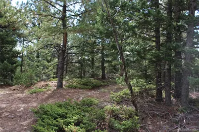 000 Golconda Mine Road, Central City, CO 80427 - Photo 1