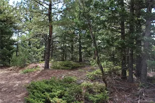 000 Golconda Mine Rd, Central City, CO 80427 - Photo 1