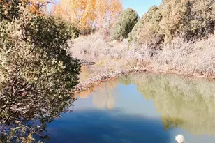 Indian Creek Rd, Fort Garland, CO 81133 - Photo 1