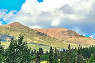 295 Silver Plume Rd, Fairplay, CO 80440 - Photo 1