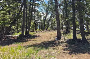 Lot 5546 Balleroy Rd, Fort Garland, CO 81133 - Photo 1