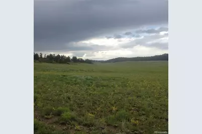 Dog Chief Trail, Hartsel, CO 80449 - Photo 1