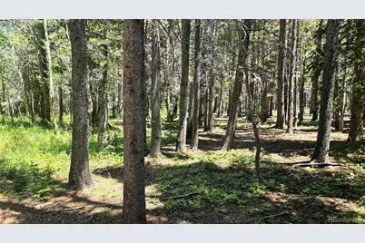 Deer, Idaho Springs, CO 80444 - Photo 1