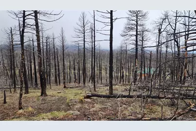 Lot 1735 Mara Loop, Fort Garland, CO 81133 - Photo 1