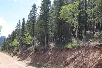 430 Lakeview Road, Bailey, CO 80421 - Photo 1