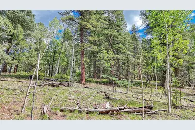 94 E Mariposa Circle, Cripple Creek, CO 80813 - Photo 1