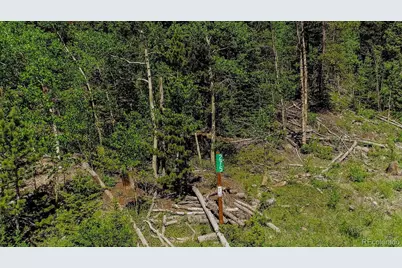 275 Mine Dump Road, Fairplay, CO 80440 - Photo 1